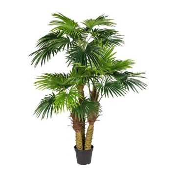 Künstliche Palme Washingtonia URSUL, 185cm Künstliche Palme Washingtonia URSUL, 185cm