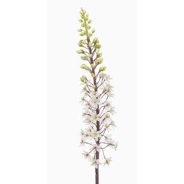 Kunstblume Steppenkerze SCHENRA, weiß-grün, 95cm Kunstblume Steppenkerze SCHENRA, weiß-grün, 95cm