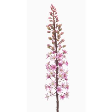 Kunstblume Steppenkerze SCHENRA, rosa, 95cm Kunstblume Steppenkerze SCHENRA, rosa, 95cm