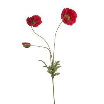 Deko Zweig Mohnblume SCHUNRA, rot, 75cm
