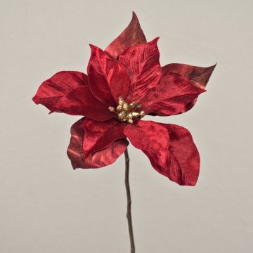 Samt Poinsettia SHEBA, rot, 55cm, Ø21cm