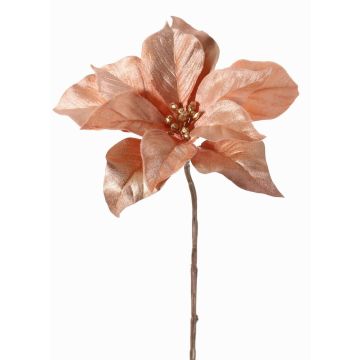 Samt Poinsettia SHEBA, rosé, 55cm, Ø21cm Samt Poinsettia SHEBA, rosé, 55cm, Ø21cm