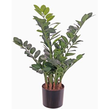 Künstlicher Zamioculcas JANGOLIE, 70cm Künstlicher Zamioculcas JANGOLIE, 70cm