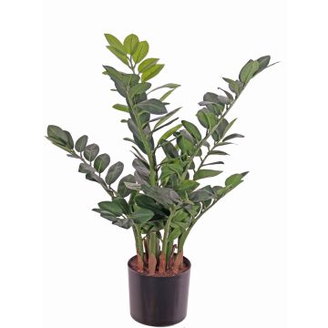 Künstlicher Zamioculcas JANGOLIE, 70cm Künstlicher Zamioculcas JANGOLIE, 70cm