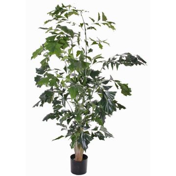 Künstliche Fischschwanzpalme JASNA, 190cm