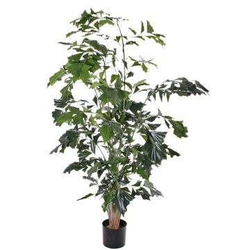 Künstliche Fischschwanzpalme JASNA, 190cm