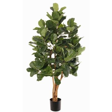 Ficus Lyrata künstlich TUNGA, Naturstämme, grün, 150cm Ficus Lyrata künstlich TUNGA, Naturstämme, grün, 150cm