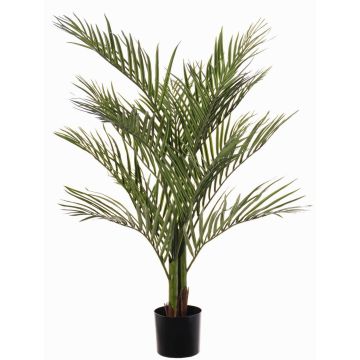 Unechte Areca Palme JUMBOLINO, 120cm