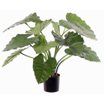Kunstpflanze Alocasia Calidora YONCE, grün, 60cm