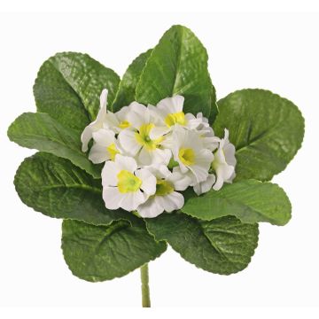 Künstliche Primel SUNDARA auf Steckstab, weiß, 20cm, Ø4cm Künstliche Primel SUNDARA auf Steckstab, weiß, 20cm, Ø4cm