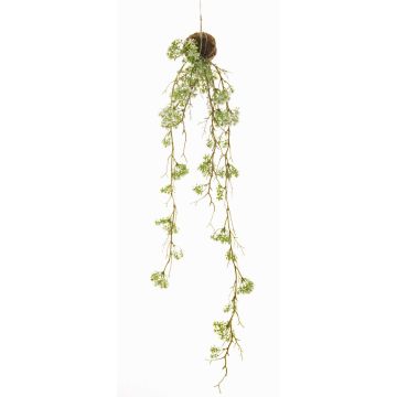 Gänseblümchen Hänger künstlich SIRIA auf Moosball, weiß, 90cm