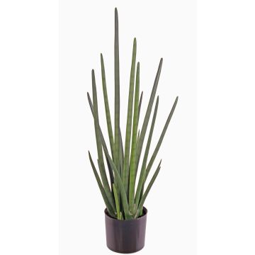 Sansevieria Cylindrica künstlich ASTARIA, grün, 95cm