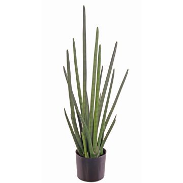 Sansevieria Cylindrica künstlich ASTARIA, grün, 95cm Sansevieria Cylindrica künstlich ASTARIA, grün, 95cm