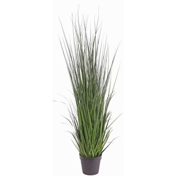 Künstliches Seggengras ALEXANDRINA, grün, 135cm Künstliches Seggengras ALEXANDRINA, grün, 135cm
