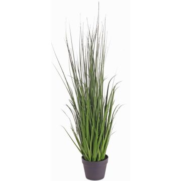 Künstliches Seggengras ALEXANDRINA, grün, 115cm Künstliches Seggengras ALEXANDRINA, grün, 115cm