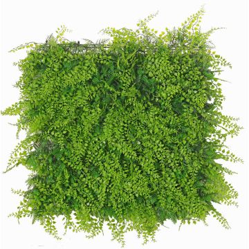 Kunst Farn Zypresse Hecke / Matte DIANTA, crossdoor, 50x50cm