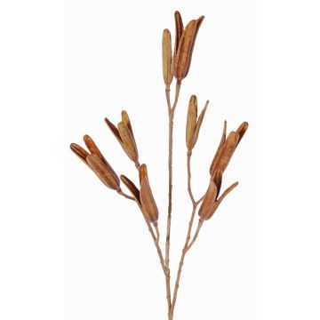 Kunststoff Liliensamen Zweig ELFIDA, braun, 80cm, Ø2-3cm Kunststoff Liliensamen Zweig ELFIDA, braun, 80cm, Ø2-3cm