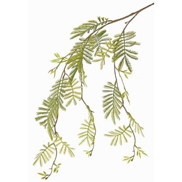 Künstlicher Mimosen Zweig ELPIDA, grün, 110cm