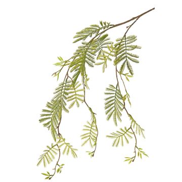 Künstlicher Mimosen Zweig ELPIDA, grün, 110cm