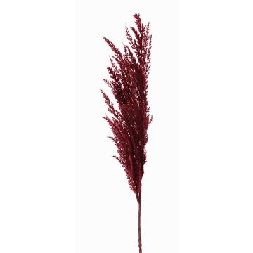 Künstliches Pampasgras Rispenzweig ERATO, burgunderrot, 100cm