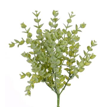 Kunst Eukalyptus Busch INGOMAR, Steckstab, grün, 30cm Kunst Eukalyptus Busch INGOMAR, Steckstab, grün, 30cm