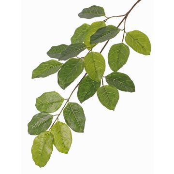Banyan Feige Deko Zweig ERASMOS, schwer entflammbar, grün, 80cm