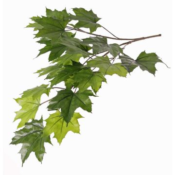 Künstlicher Ahorn Zweig EUSEBIA, schwer entflammbar, grün, 80cm