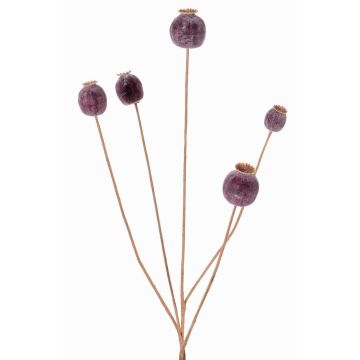 Künstlicher Mohnkapsel Zweig FILOMELA, dunkelbraun, 75cm, Ø2-3,5cm