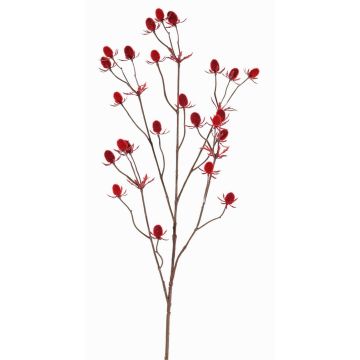Deko Zweig Edeldistel LOUKAS, rot, 70cm, Ø1-1,5cm Deko Zweig Edeldistel LOUKAS, rot, 70cm, Ø1-1,5cm