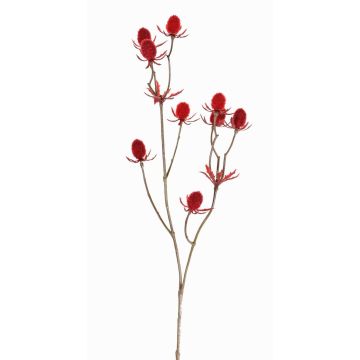 Deko Zweig Edeldistel LOUKAS, rot, 45cm, Ø1-1,5cm Deko Zweig Edeldistel LOUKAS, rot, 45cm, Ø1-1,5cm