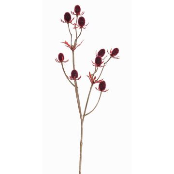 Deko Zweig Edeldistel LOUKAS, burgunderrot, 45cm, Ø1-1,5cm Deko Zweig Edeldistel LOUKAS, burgunderrot, 45cm, Ø1-1,5cm