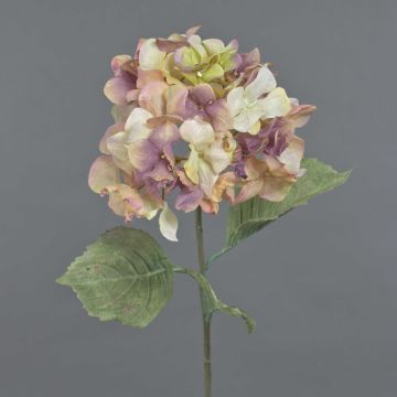 Kunstblume Hortensie URANIA, Trockenoptik, altrosa-creme, 75cm, Ø20cm