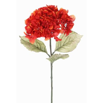 Kunstblume Hortensie URANIA, Trockenoptik, orange-rot, 75cm, Ø20cm Kunstblume Hortensie URANIA, Trockenoptik, orange-rot, 75cm, Ø20cm