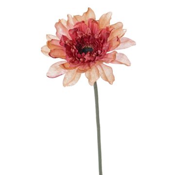 Kunstblume Gerbera PAMILLA, lachs-rosa, 65cm, Ø12cm Kunstblume Gerbera PAMILLA, lachs-rosa, 65cm, Ø12cm