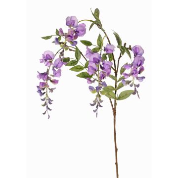 Blauregen Zweig künstlich SOULA mit Blüten, lila, 80cm, Ø7-8cm Blauregen Zweig künstlich SOULA mit Blüten, lila, 80cm, Ø7-8cm