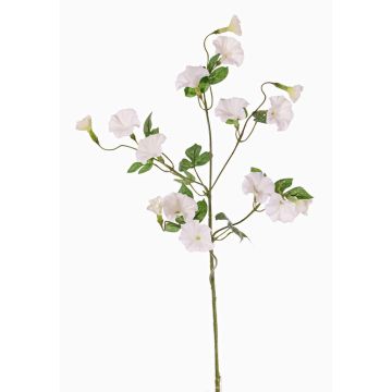 Künstliche Trichterwinde Zweig IORDANIS, weiß, 80cm, Ø3-5,5cm