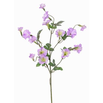 Künstliche Trichterwinde Zweig IORDANIS, lila-grün, 80cm, Ø3-5,5cm Künstliche Trichterwinde Zweig IORDANIS, lila-grün, 80cm, Ø3-5,5cm