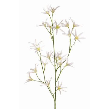 Kunstblume Zweig Tweedia solanoides PALLAS, weiß, 70cm, Ø5cm Kunstblume Zweig Tweedia solanoides PALLAS, weiß, 70cm, Ø5cm