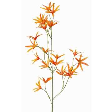 Kunstblume Zweig Tweedia solanoides PALLAS, orange, 70cm, Ø5cm Kunstblume Zweig Tweedia solanoides PALLAS, orange, 70cm, Ø5cm