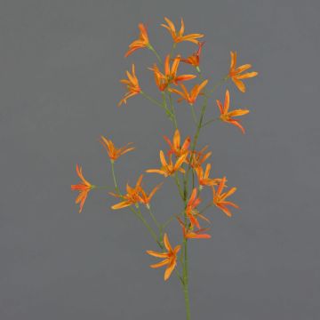 Kunstblume Zweig Tweedia solanoides PALLAS, orange, 70cm, Ø5cm Kunstblume Zweig Tweedia solanoides PALLAS, orange, 70cm, Ø5cm