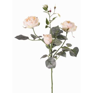Rosenzweig künstlich DIAMANTIS, zartrosa, 70cm, Ø5-8cm Rosenzweig künstlich DIAMANTIS, zartrosa, 70cm, Ø5-8cm