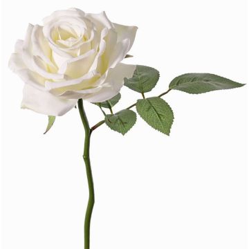 Kunstblume Rose NIKOLETA, weiß, 30cm, Ø12cm Kunstblume Rose NIKOLETA, weiß, 30cm, Ø12cm