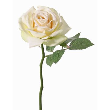Kunstblume Rose NIKOLETA, creme-rosa, 30cm, Ø12cm Kunstblume Rose NIKOLETA, creme-rosa, 30cm, Ø12cm