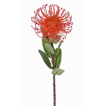 Künstliche Nadelkissen Protea BAILY, orange, 55cm, Ø10cm Künstliche Nadelkissen Protea BAILY, orange, 55cm, Ø10cm