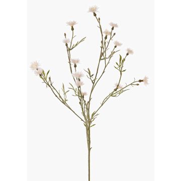 Kunstblumenzweig Kornblume ZENOBIOS, creme, 80cm, Ø3-4cm