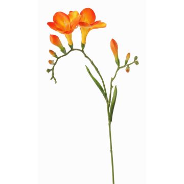 Kunstblume Freesie MARUSHA, orange, 70cm, Ø6cm Kunstblume Freesie MARUSHA, orange, 70cm, Ø6cm