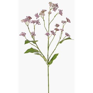 Deko Zweig Wasserdost KORALIA, violett, 80cm, Ø4-7cm Deko Zweig Wasserdost KORALIA, violett, 80cm, Ø4-7cm