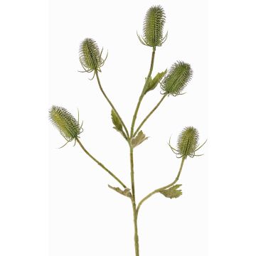 Künstliche Wilde Karde Zweig KASTANIA, grün, 90cm