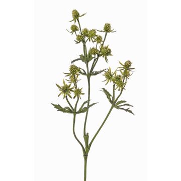 Kunstblumenzweig Edeldistel KALYPSO, grün, 65cm, Ø3-4cm