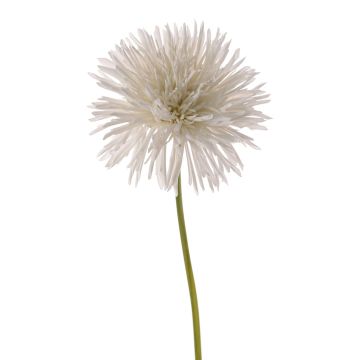 Künstliche Chrysantheme NANDITA, weiß, 60cm, Ø15cm Künstliche Chrysantheme NANDITA, weiß, 60cm, Ø15cm